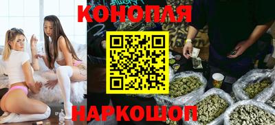 прущие грибы Шахты