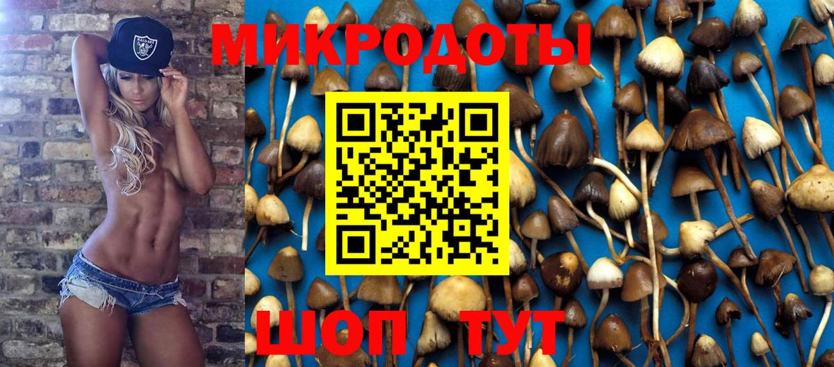 Псилоцибиновые грибы MAGIC MUSHROOMS  Вход с VPN  где найти   Муравленко 