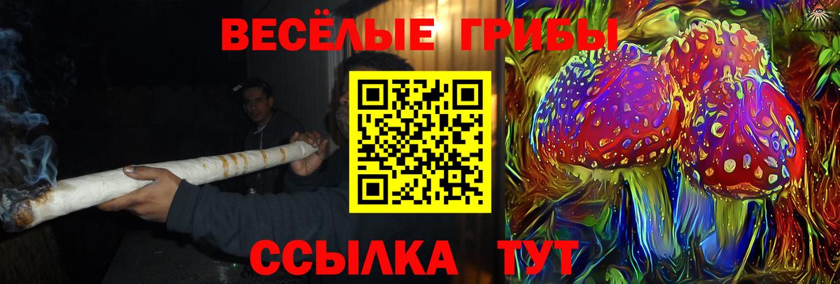 Галлюциногенные грибы Psilocybine cubensis Муравленко